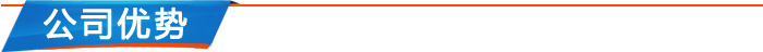 公司優勢